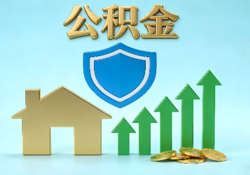 东丽当前住房公积金提取条件分类指南与政策趋势